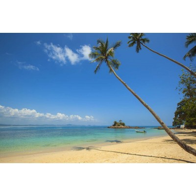 Ρόλερ - Roller Μερικής Συσκότισης ψηφιακής εκτύπωσης 807-CR