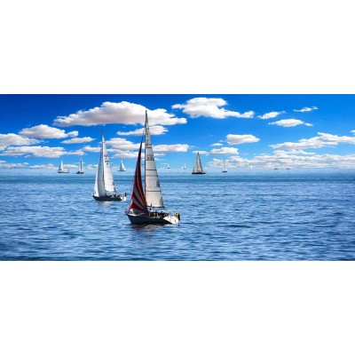 Ρόλερ - Roller Μερικής Συσκότισης ψηφιακής εκτύπωσης 815-CR