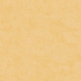 Ταπετσαρία Τοίχου 10.05x0.53m A.S. Création Lilly & Luis «Orange» AS771791-0