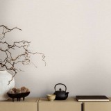 Tαπετσαρία Τοίχου A.S. Creation «Michalsky 6» collection 0.53x10.05m «Uni, White» 399893