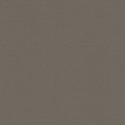 Tαπετσαρία Τοίχου A.S. Creation «PintWalls II» 0.53x10.05m «Uni, Brown, Taupe» 390977