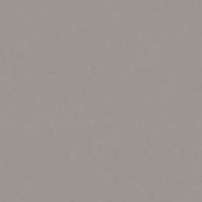 Ταπετσαρία Τοίχου 0.53x10.05m A.S. Création Styleguide Colours 2024 «Uni, Grey» 376961