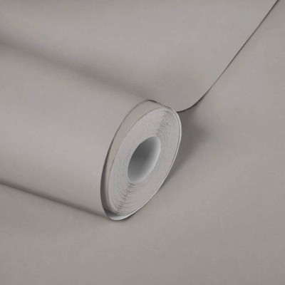 Ταπετσαρία Τοίχου 0.53x10.05m A.S. Création Styleguide Colours 2024 «Uni, Grey» 376961