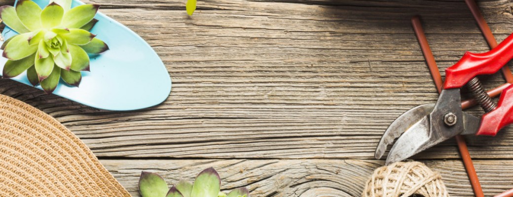Οργάνωση και Διακόσμηση Κήπου: Απαραίτητα εργαλεία και αξεσουάρ