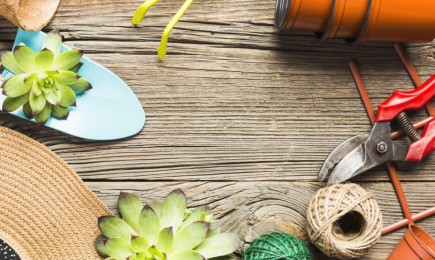 Οργάνωση και Διακόσμηση Κήπου: Απαραίτητα εργαλεία και αξεσουάρ