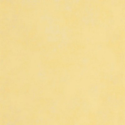 Ταπετσαρία Τοίχου 0.53x10.05m CASADECO STONE 2 Prague Stone Uni Jaune alchemille 80832109