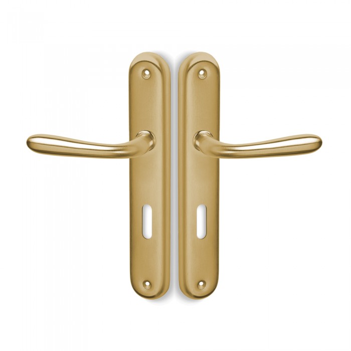 Πόμολα πόρτας Convex χειρολαβή με πλάκα 155 σε Ματ Όρο-Όρο