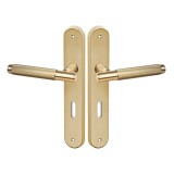 Πόμολα πόρτας Convex χειρολαβή με πλάκα 1745 σε Ματ Όρο