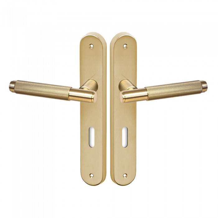 Πόμολα πόρτας Convex χειρολαβή με πλάκα 1745 σε Ματ Όρο