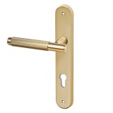 Πόμολα πόρτας Convex χειρολαβή με πλάκα 1745 σε Ματ Όρο