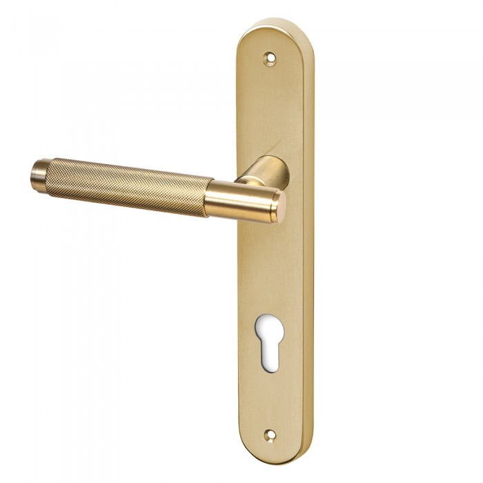 Πόμολα πόρτας Convex χειρολαβή με πλάκα 1745 σε Ματ Όρο