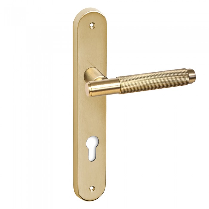 Πόμολα πόρτας Convex χειρολαβή με πλάκα 1745 σε Ματ Όρο