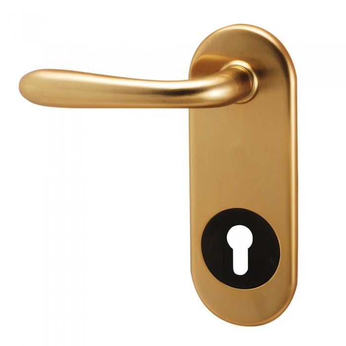 Πόμολα θωρακισμένης πόρτα Convex χειρολαβή με πλάκα 155HSC