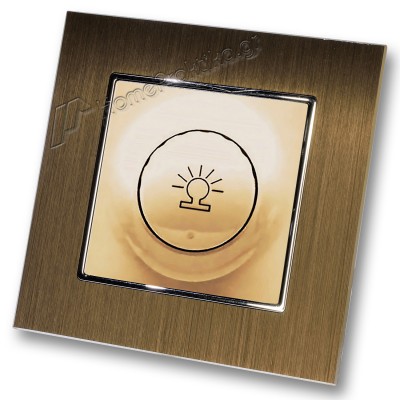 Ρεοστάτης Απλός (dimmer) 500W Χρυσό Ματ με Πλαίσιο Χρυσό Μεταλλικό HSERIES LINEME 50-00110-9_50-00121-6