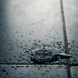 Διάφανο Αδιαβροχοποιητικό, ελαιoαπωθητικό εμποτισμού πλακιδίων & γρανιτών 1lt Durostick D-29 SPOT FREE