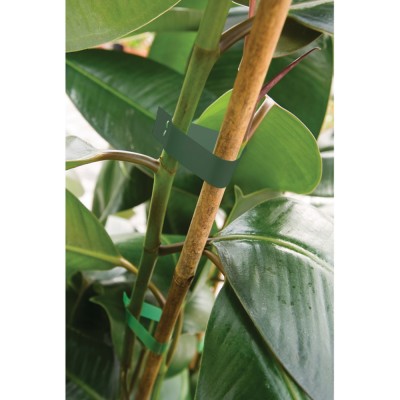 Ταινία Συρραπτικού Φυτών 11mmx25m 1 τεμάχιο Benman 72515