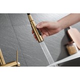 Μπαταρία Κουζίνας με Αποσπώμενο Τηλέφωνο 2 Ροών PVD Χρυσό Ματ Imex BERNA GCE026/OC