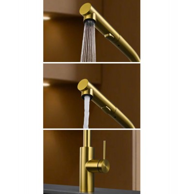 Μπαταρία κουζίνας με Αποσπώμενο Τηλέφωνο με σπιράλ 2 ροών Χρυσό Ματ (PVD) IMEX OPORTO GCE030/OC