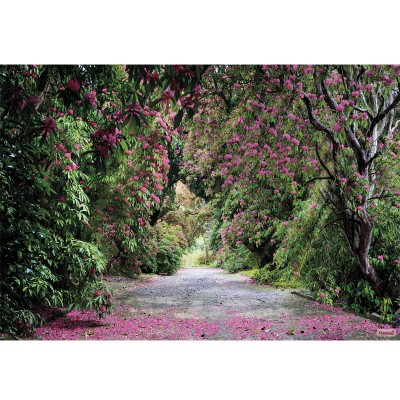 Φωτοταπετσαρία τοίχου Komar 8-985 Wicklow Park 3.68 cm x  2.54 cm