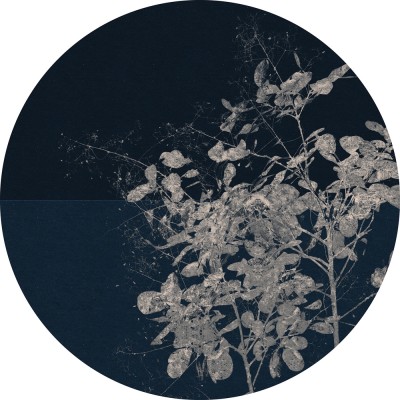 Αυτοκόλλητη Φωτοταπετσαρία Τοίχου KOMAR "Branch" σειρά "DOTS" Ø125cm D1-033