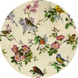 Αυτοκόλλητη Φωτοταπετσαρία Τοίχου KOMAR "Bird Party" σειρά "DOTS" Ø125cm D1-100