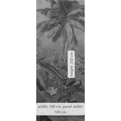 Φωτοταπετσαρία Τοίχου KOMAR "Amazonia Black and White" σειρά "PURE BOUTIQUE" 100x250cm P013-VD1