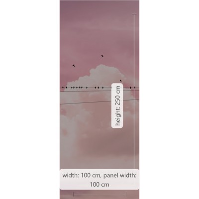 Φωτοταπετσαρία Τοίχου KOMAR "Cloud Wire" σειρά "PURE BOUTIQUE" 100x250cm P017-VD1