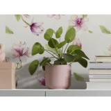 Φωτοταπετσαρία Τοίχου KOMAR "Magnolia Rapport" σειρά "PURE BOUTIQUE" 100x250cm P042-VD1