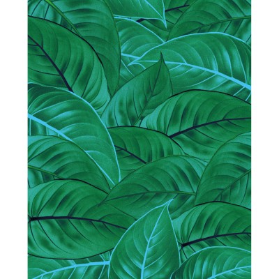 Φωτοταπετσαρία Τοίχου KOMAR "Jungle Leaves" σειρά "PURE BOUTIQUE" 200x250cm P044-VD2