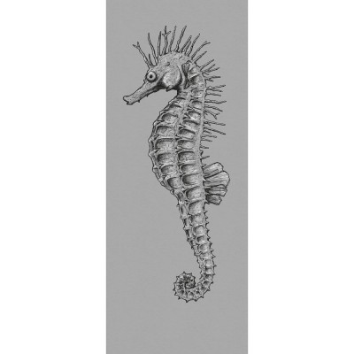 Φωτοταπετσαρία Τοίχου KOMAR "Seahorse" σειρά "PURE BOUTIQUE" 100x250cm P082-VD1