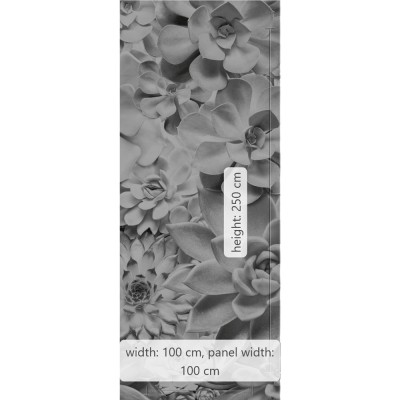 Φωτοταπετσαρία Τοίχου KOMAR "Shades Black and White" σειρά "PURE BOUTIQUE" 100x250cm P962-VD1