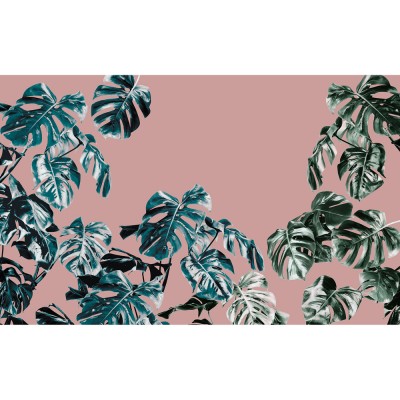 Φωτοταπετσαρία Τοίχου KOMAR  "Monstera Rosé" σειρά "PURE" 400x250cm P016-VD4