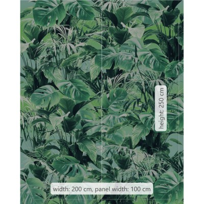 Φωτοταπετσαρία Τοίχου KOMAR  "Evergreen" σειρά "PURE" 200x250cm P023-VD2