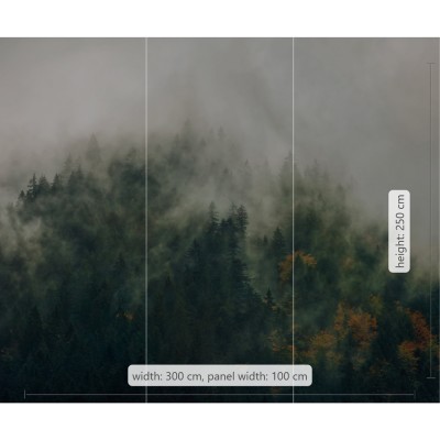 Φωτοταπετσαρία Τοίχου KOMAR  "Tales of the Carpathians" σειρά "PURE" 300x250cm PSH036-VD3