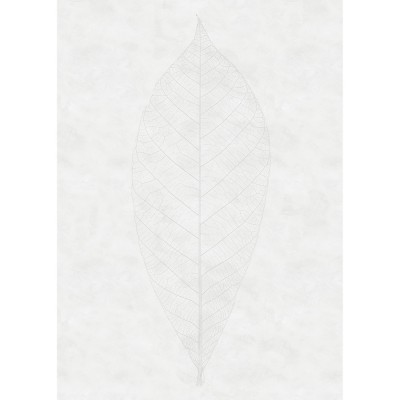 Φωτοταπετσαρία Τοίχου KOMAR "Decent Leaf" σειρά "RAW" 200x280cm R2-012