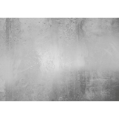 Φωτοταπετσαρία Τοίχου KOMAR "Arte" σειρά "RAW" 400x280cm RSX8-018