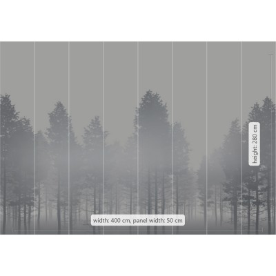 Φωτοταπετσαρία Τοίχου KOMAR "Silver Haze" σειρά "RAW" 400x280cm RSX8-055