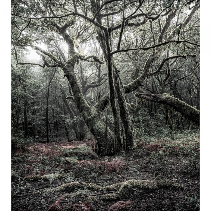 Φωτοταπετσαρία Τοίχου KOMAR "Das Model" σειρά "STEFAN HEFELE Ed. 2" 250x280cm SHX5-018