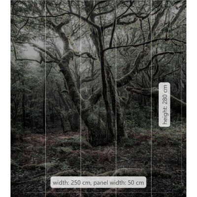 Φωτοταπετσαρία Τοίχου KOMAR "Das Model" σειρά "STEFAN HEFELE Ed. 2" 250x280cm SHX5-018