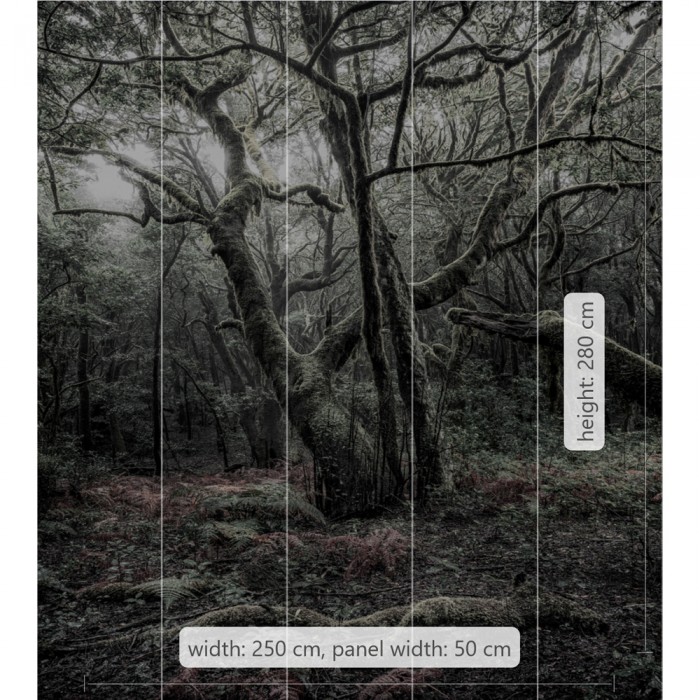 Φωτοταπετσαρία Τοίχου KOMAR "Das Model" σειρά "STEFAN HEFELE Ed. 2" 250x280cm SHX5-018