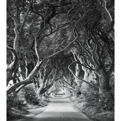 Φωτοταπετσαρία Τοίχου KOMAR "Forevenue" σειρά "STEFAN HEFELE Ed. 2" 250x280cm SHX5-033