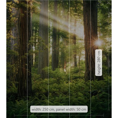 Φωτοταπετσαρία Τοίχου KOMAR "Goblins Woods" σειρά "STEFAN HEFELE Ed. 2" 250x280cm SHX5-037