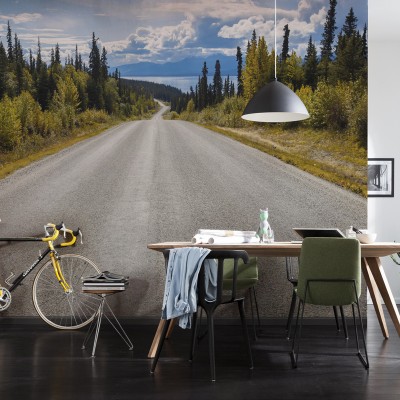 Φωτοταπετσαρία τοίχου Komar 8-532 Atlin Road 3.68m x  2.54m