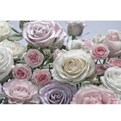 Φωτοταπετσαρία τοίχου Komar 8-736 Floraison 3.68 cm x  2.54 cm