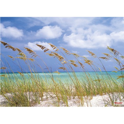 Φωτοταπετσαρία τοίχου Komar 8-515 Ocean Breeze 3.68m x  2.54m