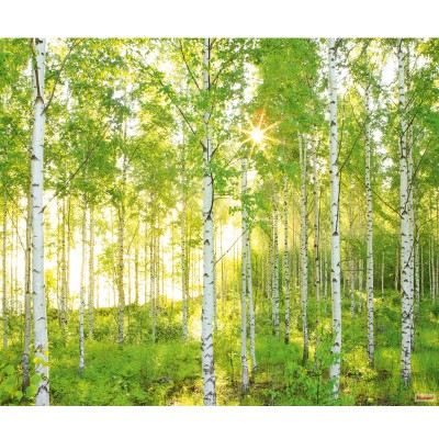 Φωτοταπετσαρία τοίχου Komar 8-519 Sunday 3.68m x  2.54m