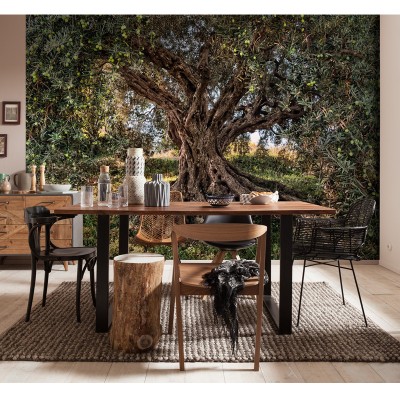 Φωτοταπετσαρία τοίχου Komar 8-531 Olive Tree 3.68m x  2.54m
