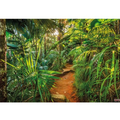 Φωτοταπετσαρία τοίχου Komar 8-989 Jungle Trail 3.68 cm x  2.54 cm