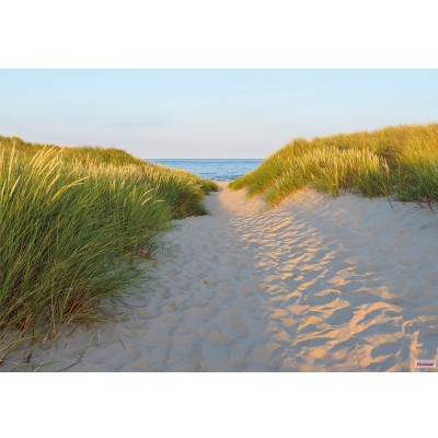 Φωτοταπετσαρία τοίχου Komar 8-995 Sandy Path 3.68 cm x  2.54 cm