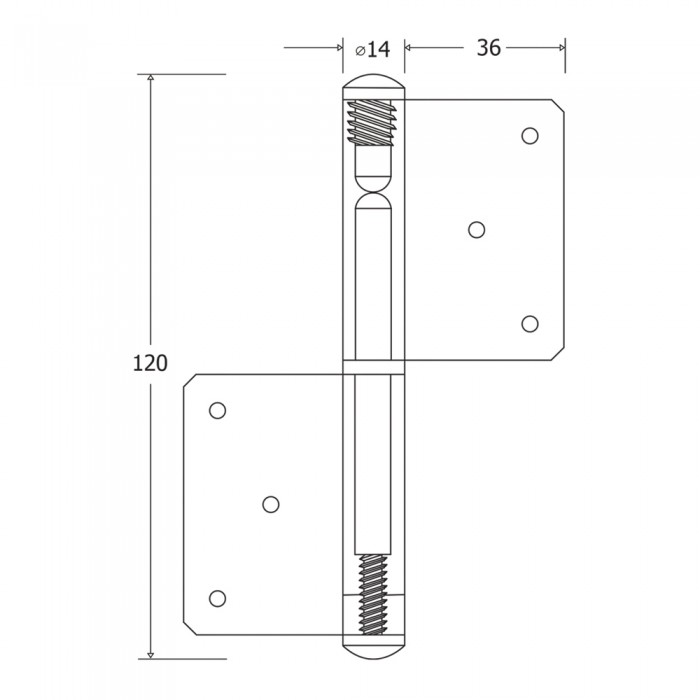 Πορταδέλα Μπίλιας Ορειχάλκινη 120x86mm Ματ Χρυσό Metalor 250-3012